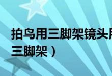 拍鸟用三脚架镜头用开防抖吗（拍鸟镜头600三脚架）