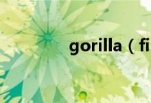 gorilla（film是什么意思）