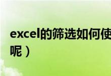 excel的筛选如何使用（excel筛选功能怎么用呢）