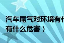 汽车尾气对环境有什么伤害（汽车尾气对环境有什么危害）