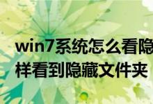 win7系统怎么看隐藏的文件夹（win7系统怎样看到隐藏文件夹）