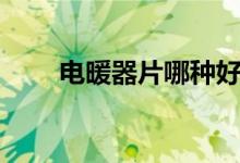 电暖器片哪种好（电暖气片哪种好）