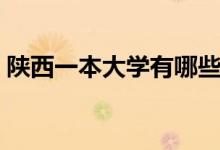 陕西一本大学有哪些（河南一本大学有哪些）