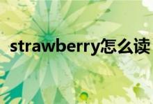 strawberry怎么读（watermelon怎么读）