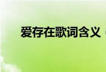 爱存在歌词含义（爱存在歌词完整版）