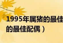 1995年属猪的最佳配偶多少岁（1995年属猪的最佳配偶）