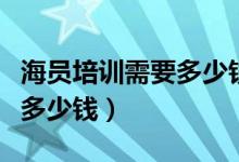 海员培训需要多少钱如何上船（海员培训需要多少钱）