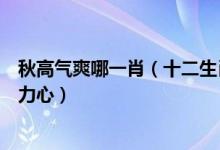 秋高气爽哪一肖（十二生肖中谁秋高气爽人人爱春分雨季劳力心）