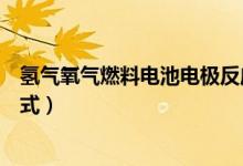 氢气氧气燃料电池电极反应式（氢氧燃料电池电极化学反应式）