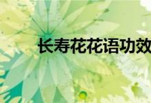 长寿花花语功效特点（长寿花花语）