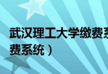 武汉理工大学缴费系统登录（武汉理工大学缴费系统）