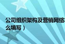 公司组织架构及营销网络怎么填写（组织架构及营销网络怎么填写）