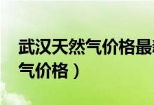 武汉天然气价格最新价格2024年（武汉天然气价格）