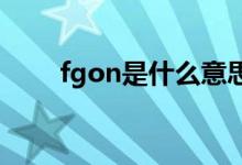 fgon是什么意思（fgo是什么意思）