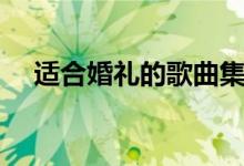 适合婚礼的歌曲集锦（适合婚礼的歌曲）