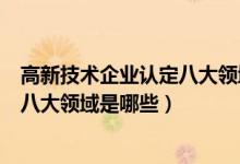 高新技术企业认定八大领域细分（申请高新技术企业认定的八大领域是哪些）