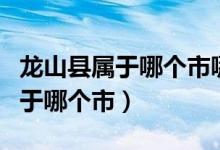 龙山县属于哪个市哪个区的城市啊（龙山县属于哪个市）