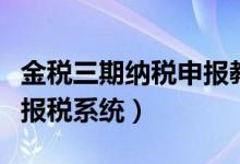 金税三期纳税申报教程（金税三期纳税人网上报税系统）