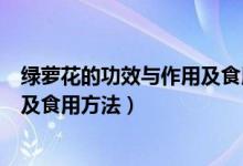 绿萝花的功效与作用及食用方法图片（绿萝花的功效与作用及食用方法）