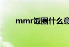 mmr饭圈什么意思（饭圈什么意思）