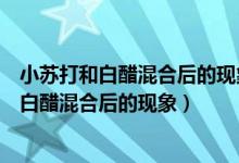 小苏打和白醋混合后的现象是产生大量什么经过（小苏打和白醋混合后的现象）