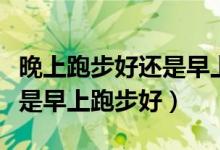 晚上跑步好还是早上跑步好些（晚上跑步好还是早上跑步好）