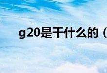 g20是干什么的（g20的g是什么意思）