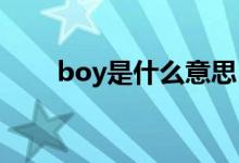 boy是什么意思（BOD是什么意思）