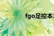 fgo足控本3（fgo足控本）