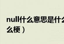 null什么意思是什么梗啊（null什么意思是什么梗）